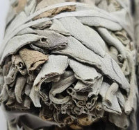 Sage Smudge Sticks Plain White 4-Inch 1 piece