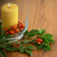 Beeswax Candles